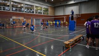 Semifinales Voleibol